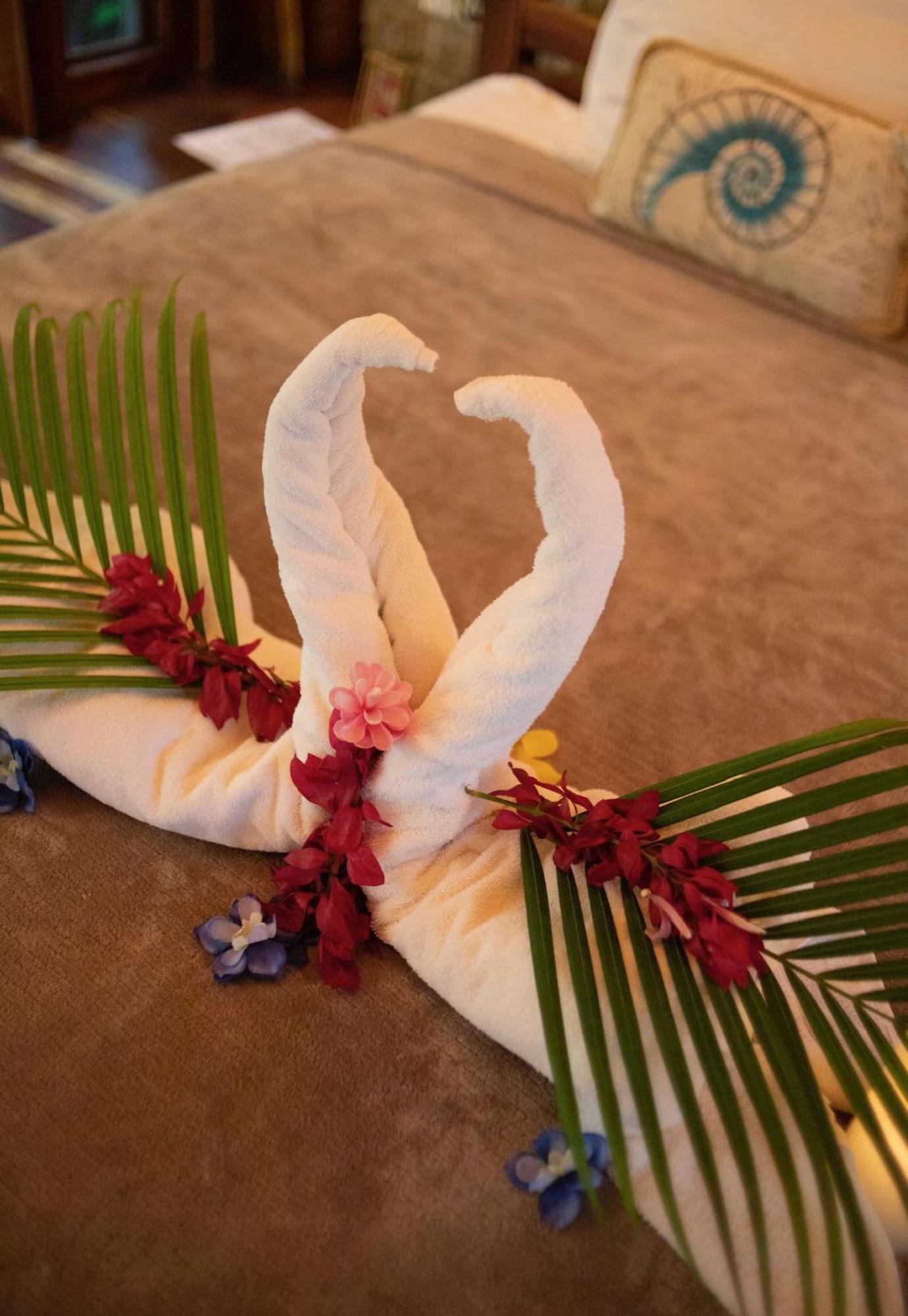 Ocho Artisan Bungalows (Adults Only) Tamarindo Exteriör bild