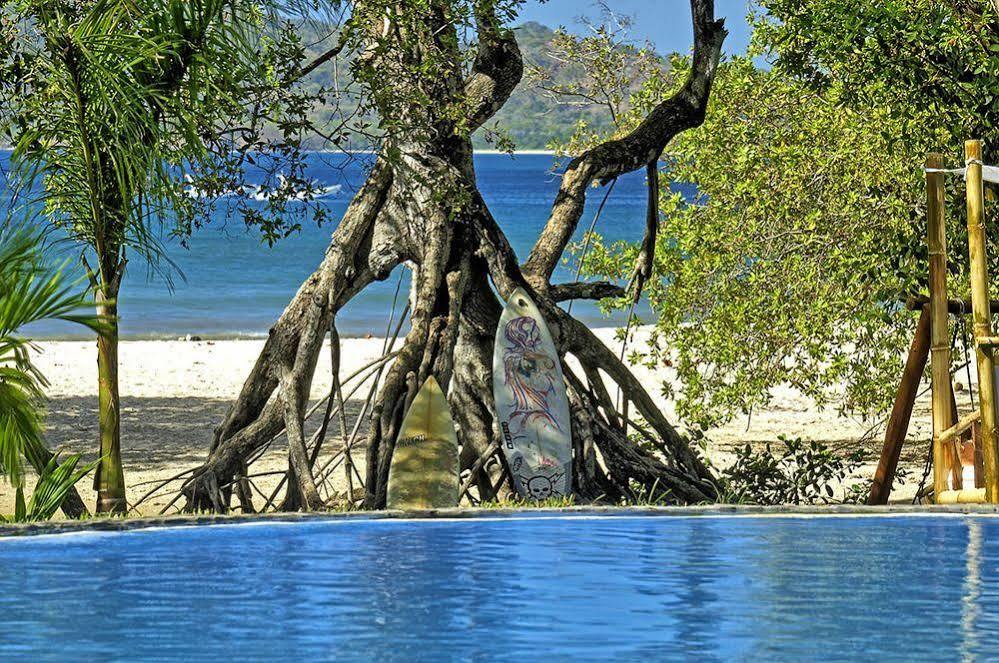 Ocho Artisan Bungalows (Adults Only) Tamarindo Exteriör bild