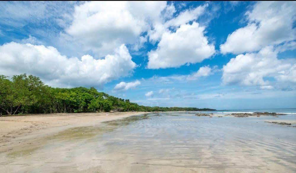 Ocho Artisan Bungalows (Adults Only) Tamarindo Exteriör bild